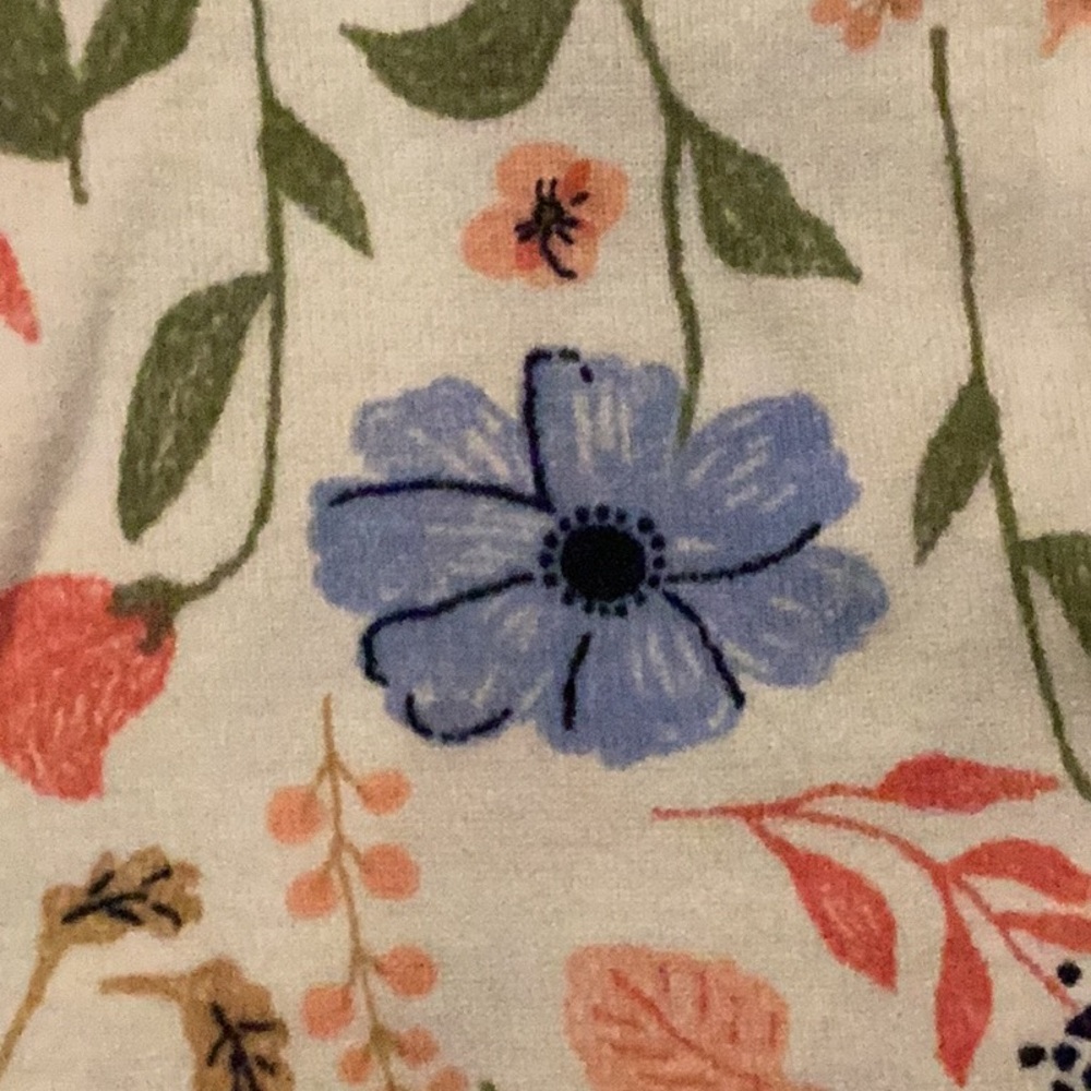 Carter's Blue and Pink Bodysuits Set for Infants - Picture 3 of 10